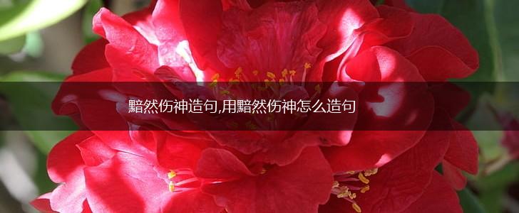黯然伤神造句,用黯然伤神怎么造句,第1张