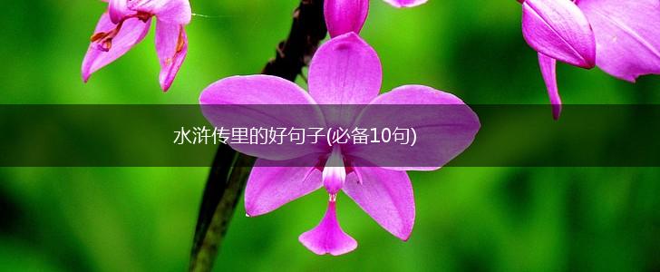 水浒传里的好句子(必备10句),第1张
