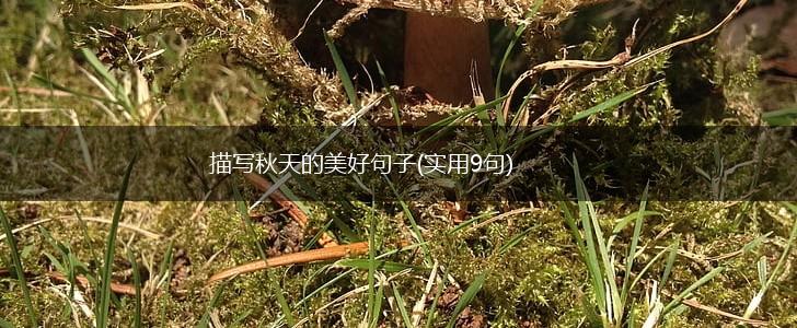 描写秋天的美好句子(实用9句),第1张