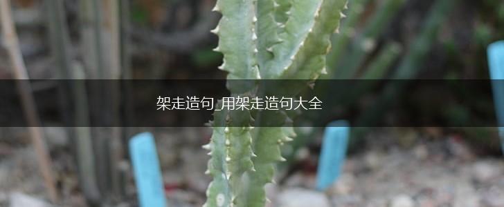 架走造句_用架走造句大全,第1张 架走造句_用架走造句大全,第1张
