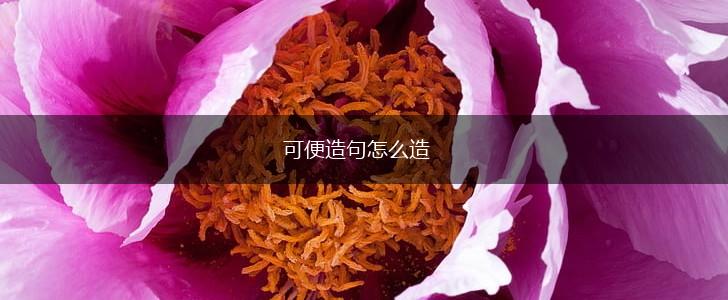 可便造句怎么造,第1张 可便造句怎么造,第1张