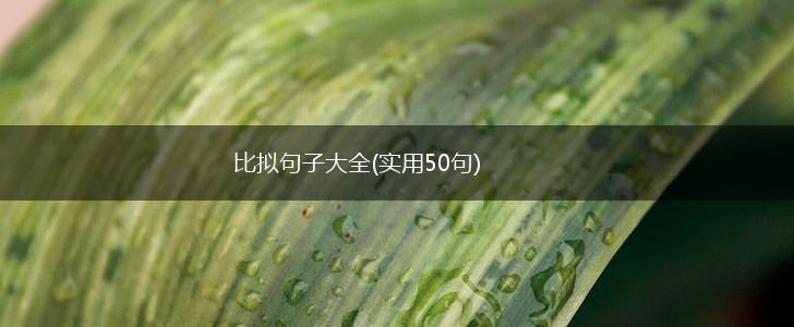 比拟句子大全(实用50句),第1张