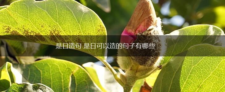 是日造句 是日可以造的句子有哪些,第1张 是日造句 是日可以造的句子有哪些,第1张