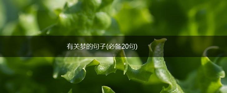 有关梦的句子(必备20句),第1张