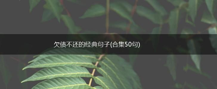 欠债不还的经典句子(合集50句),第1张