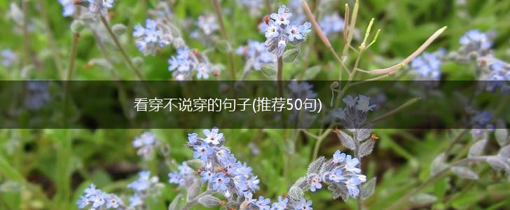 看穿不说穿的句子(推荐50句),第1张