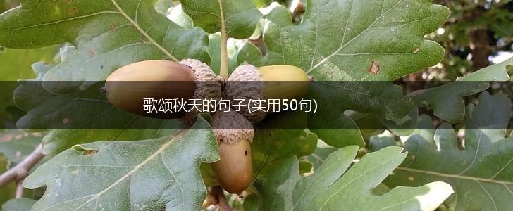 歌颂秋天的句子(实用50句),第1张