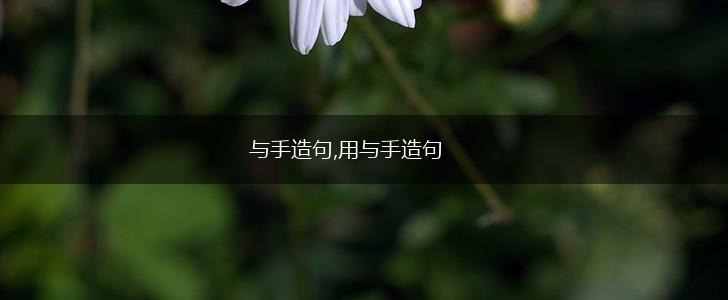 与手造句,用与手造句,第1张 与手造句,用与手造句,第1张