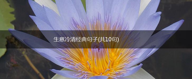 生意冷清经典句子(共10句),第1张