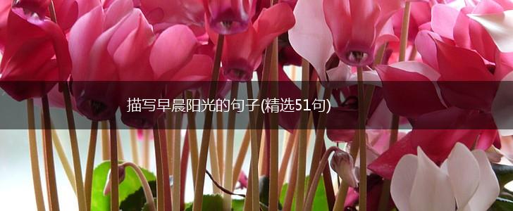 描写早晨阳光的句子(精选51句),第1张