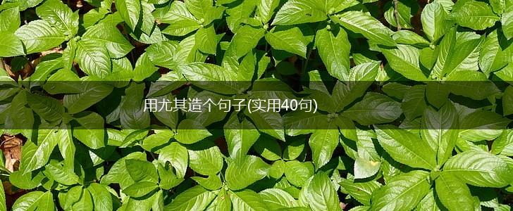用尤其造个句子(实用40句),第1张