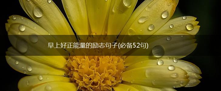 早上好正能量的励志句子(必备52句),第1张