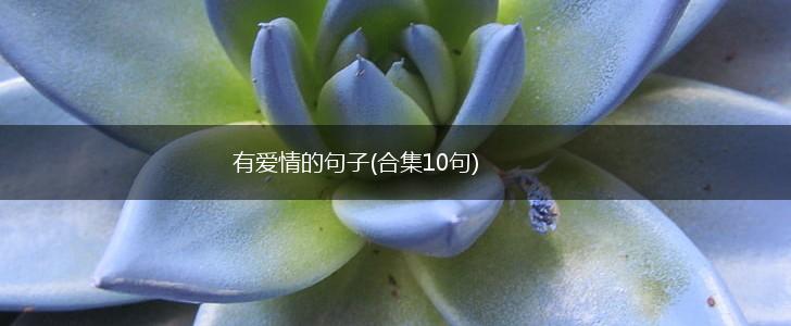 有爱情的句子(合集10句),第1张