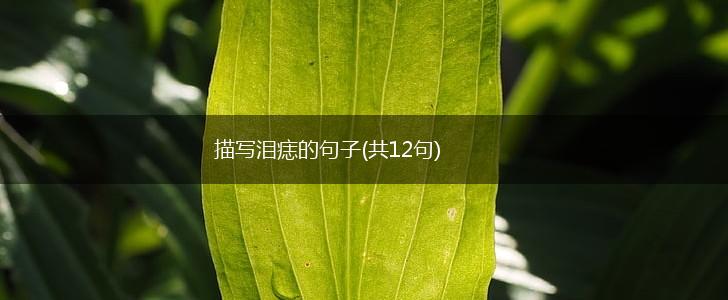 描写泪痣的句子(共12句),第1张