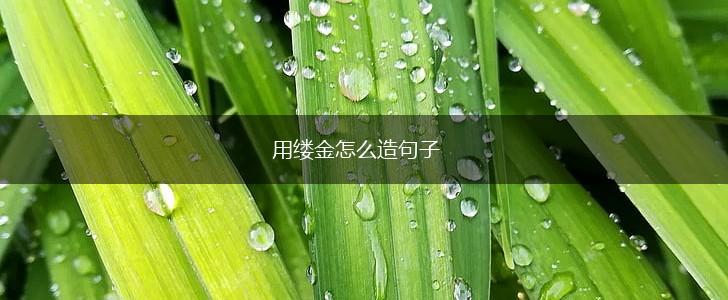用缕金怎么造句子,第1张