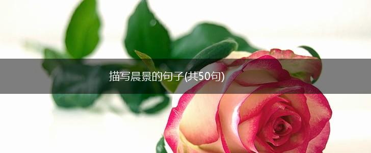 描写晨景的句子(共50句),第1张