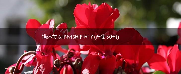 描述美女的外貌的句子(合集50句),第1张