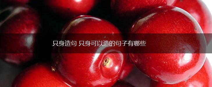只身造句 只身可以造的句子有哪些,第1张 只身造句 只身可以造的句子有哪些,第1张