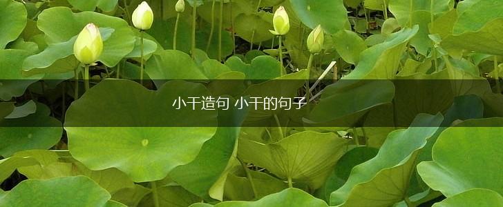 小干造句 小干的句子,第1张