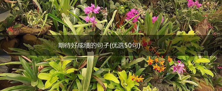 期待好成绩的句子(优选50句),第1张