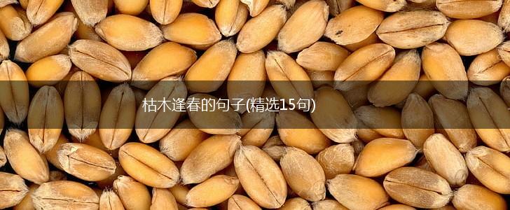枯木逢春的句子(精选15句),第1张
