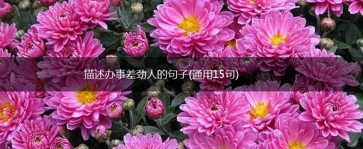 描述办事差劲人的句子(通用15句),第1张