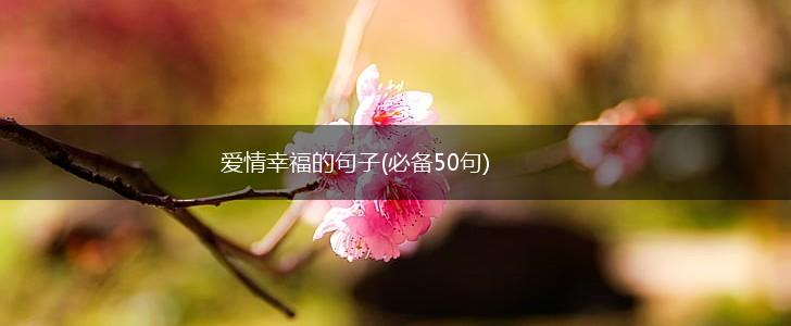 爱情幸福的句子(必备50句),第1张
