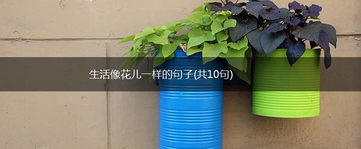 生活像花儿一样的句子(共10句),第1张
