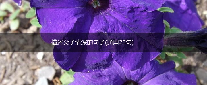 描述父子情深的句子(通用20句),第1张