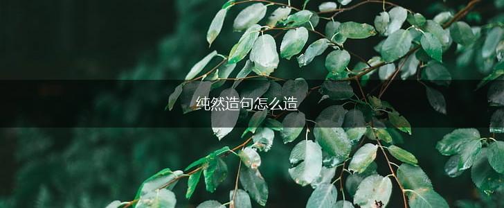 纯然造句怎么造,第1张 纯然造句怎么造,第1张