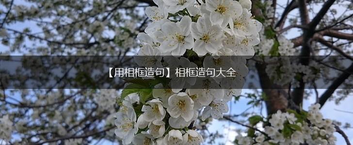 【用相框造句】相框造句大全,第1张 【用相框造句】相框造句大全,第1张