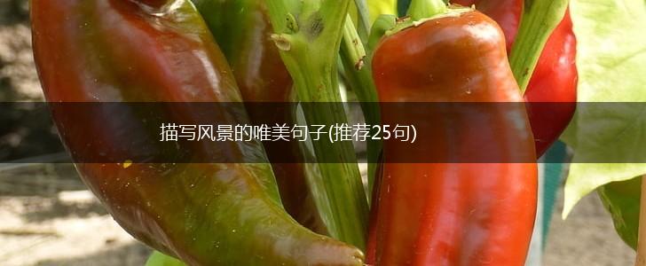 描写风景的唯美句子(推荐25句),第1张