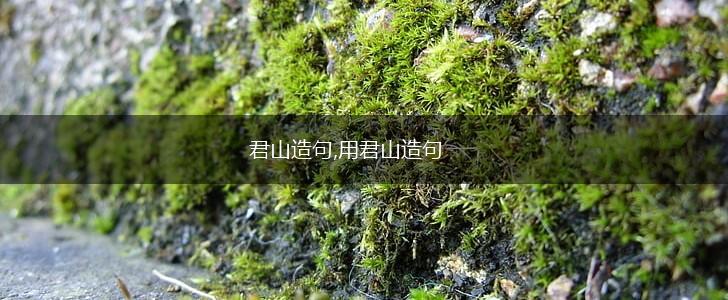 君山造句,用君山造句,第1张