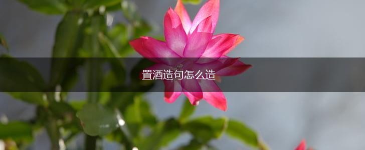 置酒造句怎么造,第1张