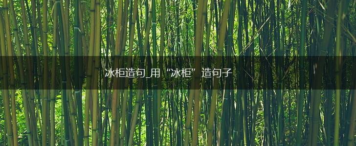 冰柜造句_用“冰柜”造句子,第1张 冰柜造句_用“冰柜”造句子,第1张