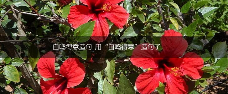 自鸣得意造句_用“自鸣得意”造句子,第1张 自鸣得意造句_用“自鸣得意”造句子,第1张