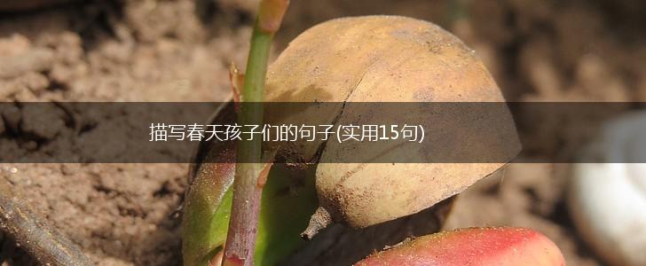 描写春天孩子们的句子(实用15句),第1张