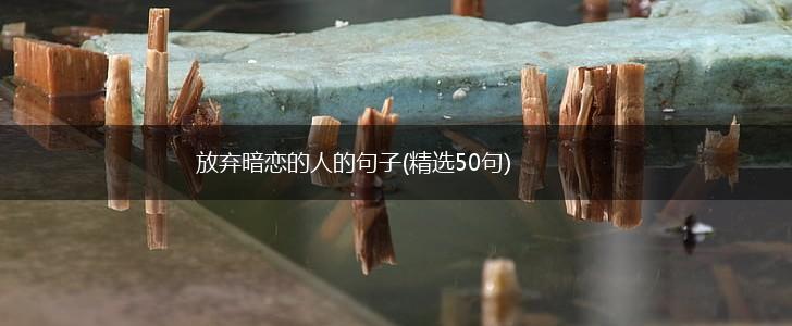放弃暗恋的人的句子(精选50句),第1张