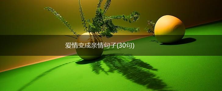 爱情变成亲情句子(30句),第1张