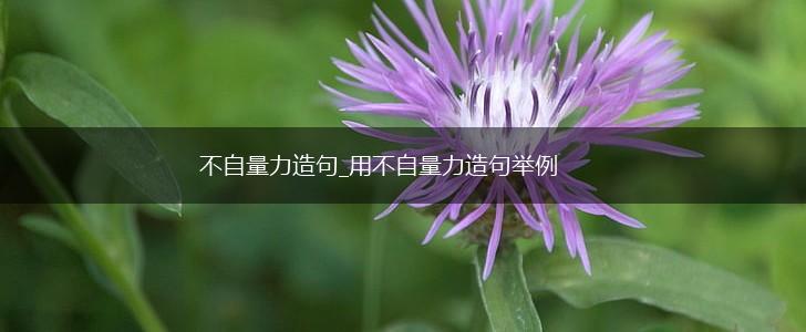 不自量力造句_用不自量力造句举例,第1张 不自量力造句_用不自量力造句举例,第1张