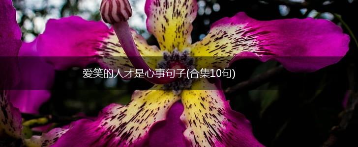 爱笑的人才是心事句子(合集10句),第1张