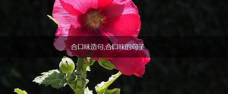 合口味造句,合口味的句子,第1张 合口味造句,合口味的句子,第1张