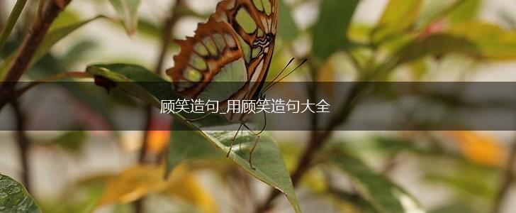 顾笑造句_用顾笑造句大全,第1张