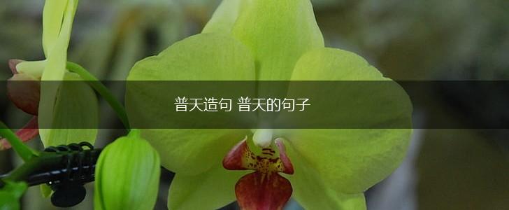 普天造句 普天的句子,第1张