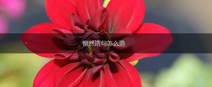 恻然造句怎么造,第1张