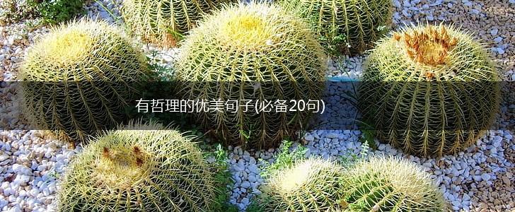 有哲理的优美句子(必备20句),第1张