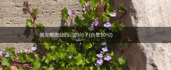 朋友圈激励自己的句子(合集50句),第1张