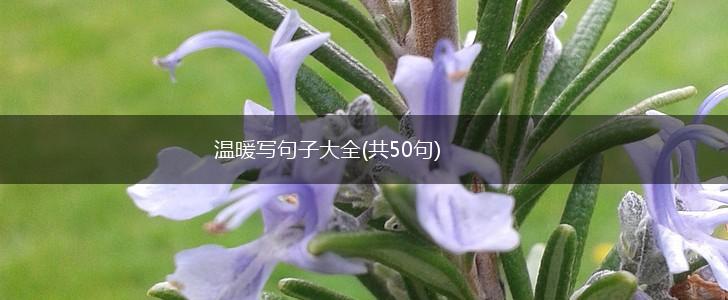 温暖写句子大全(共50句),第1张