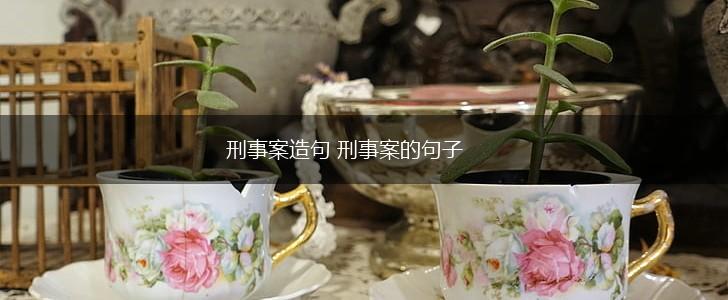 刑事案造句 刑事案的句子,第1张 刑事案造句 刑事案的句子,第1张
