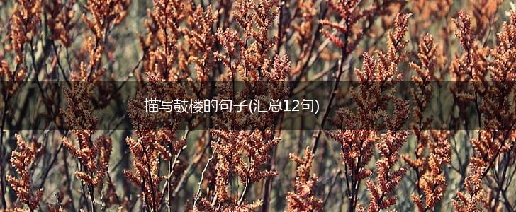 描写鼓楼的句子(汇总12句),第1张